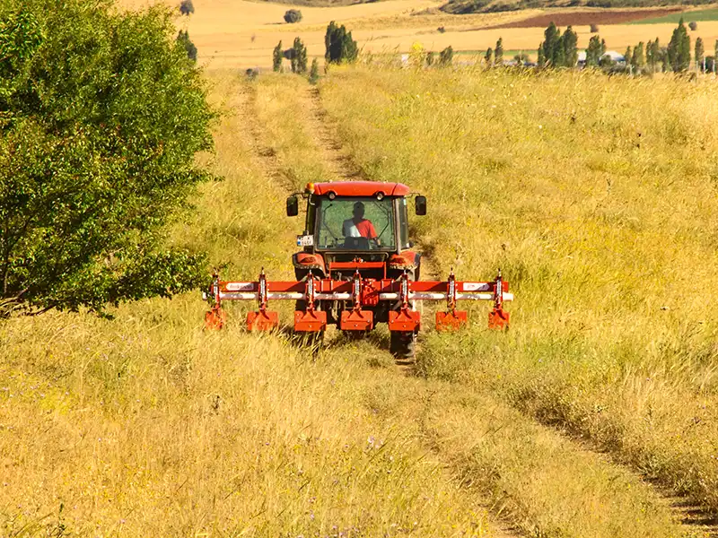 Полевые фотографии