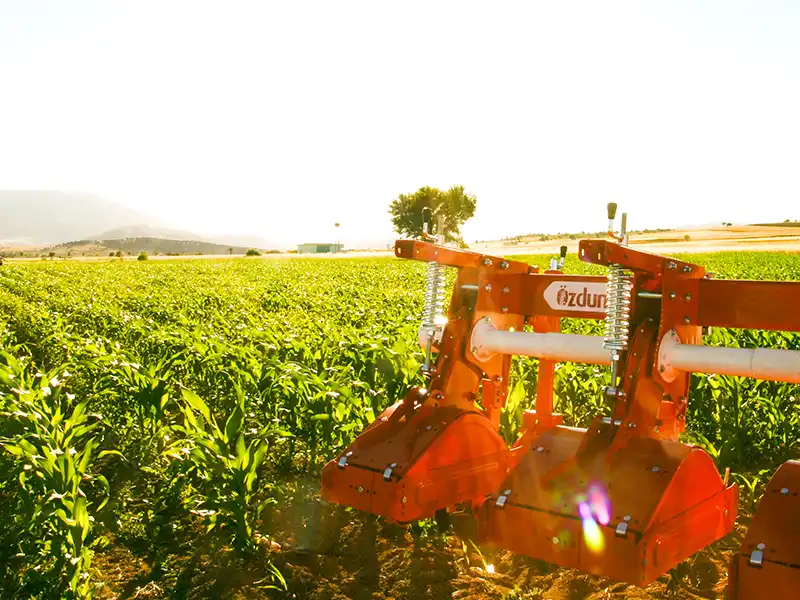 Полевые фотографии