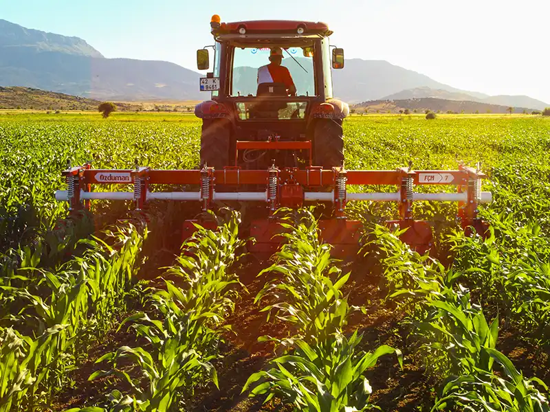 Полевые фотографии