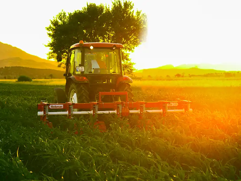 Полевые фотографии