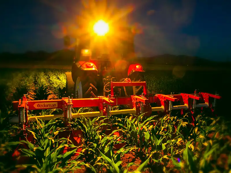 Полевые фотографии