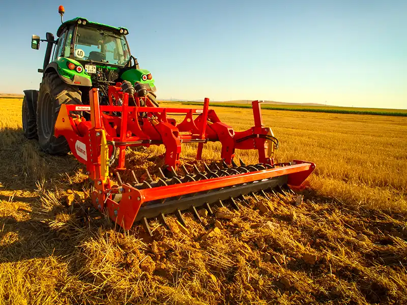 Полевые фотографии