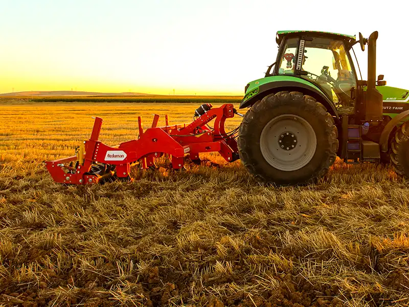 Полевые фотографии