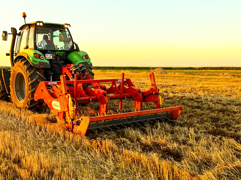 Полевые фотографии