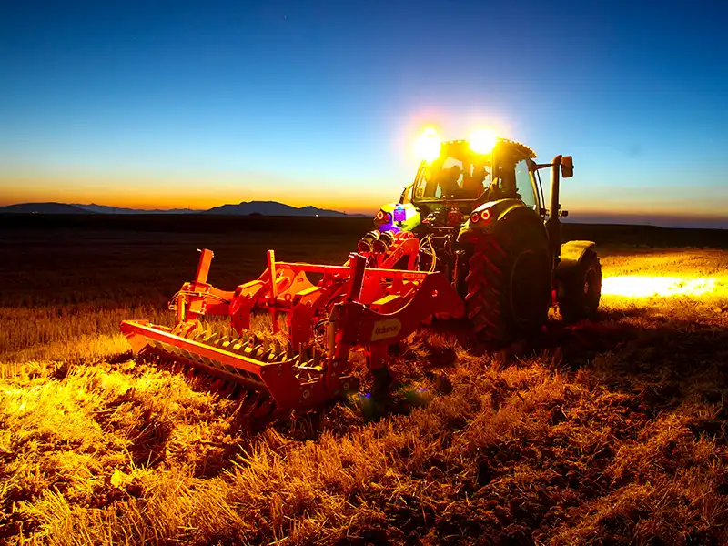 Полевые фотографии