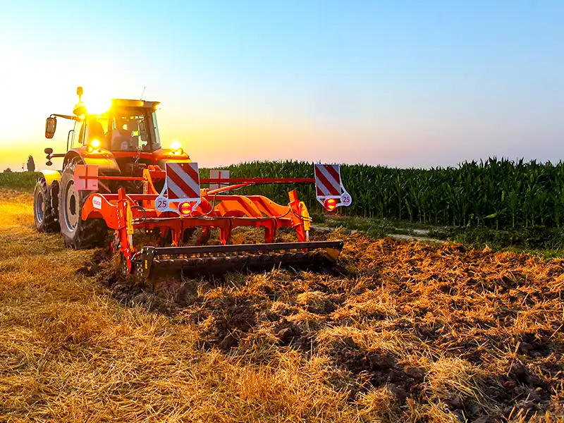 Полевые фотографии
