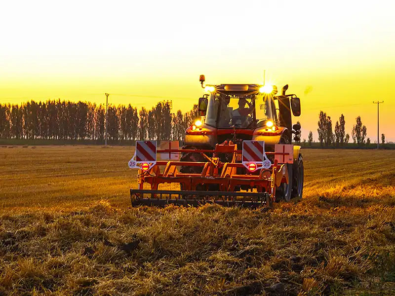 Полевые фотографии