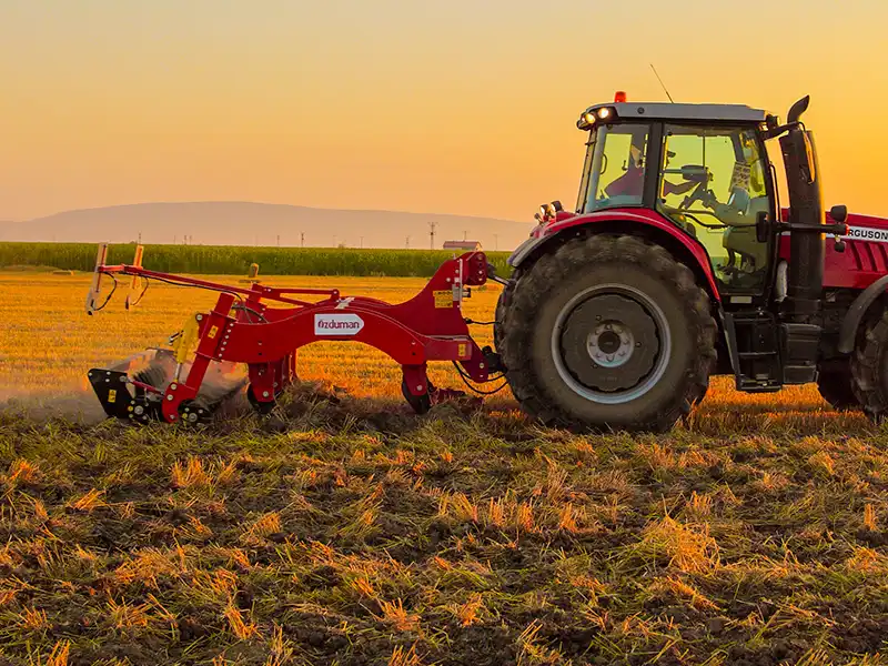 Полевые фотографии