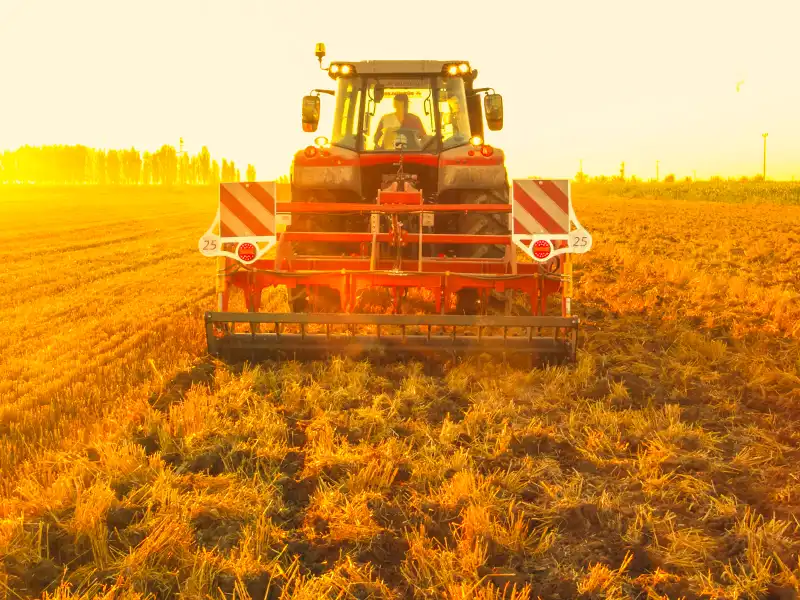 Полевые фотографии