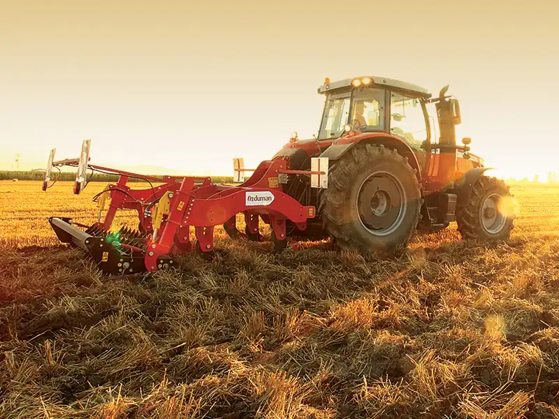 Полевые фотографии