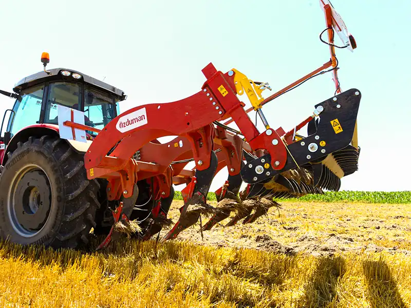 Полевые фотографии